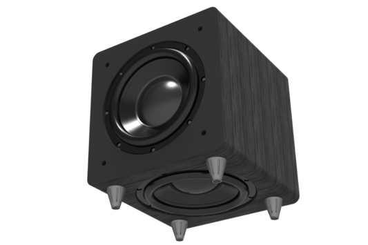 Adept ADS12 Subwoofer
