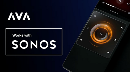 AVA Cinema Remote (Silver)