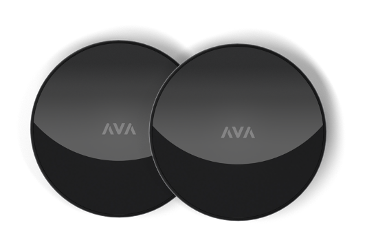 AVA Demo Kit - 2 x Nano Brains