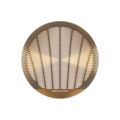 Bang & Olufsen Speaker Pack 5.1A BRZ