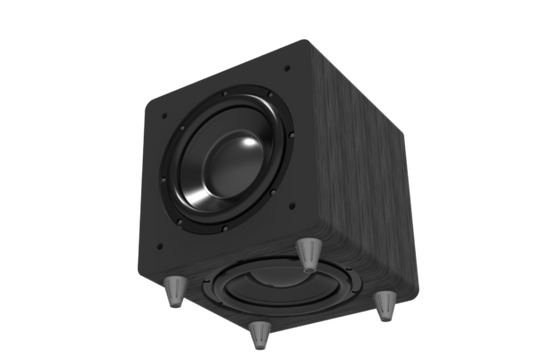 Audio Adept ADS10 Subwoofer