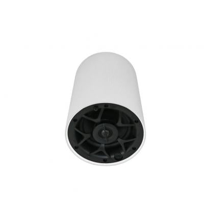 Origin PP50W WHITE 2 Way 70/100v Line Pendant Speaker